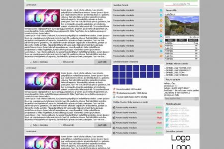 SKYFLEX website design and development